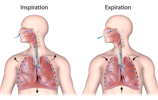 Breathing Techniques Diagram