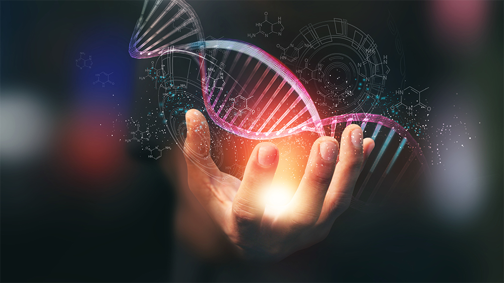  Evolution to Association 