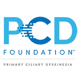 PCD Foundation